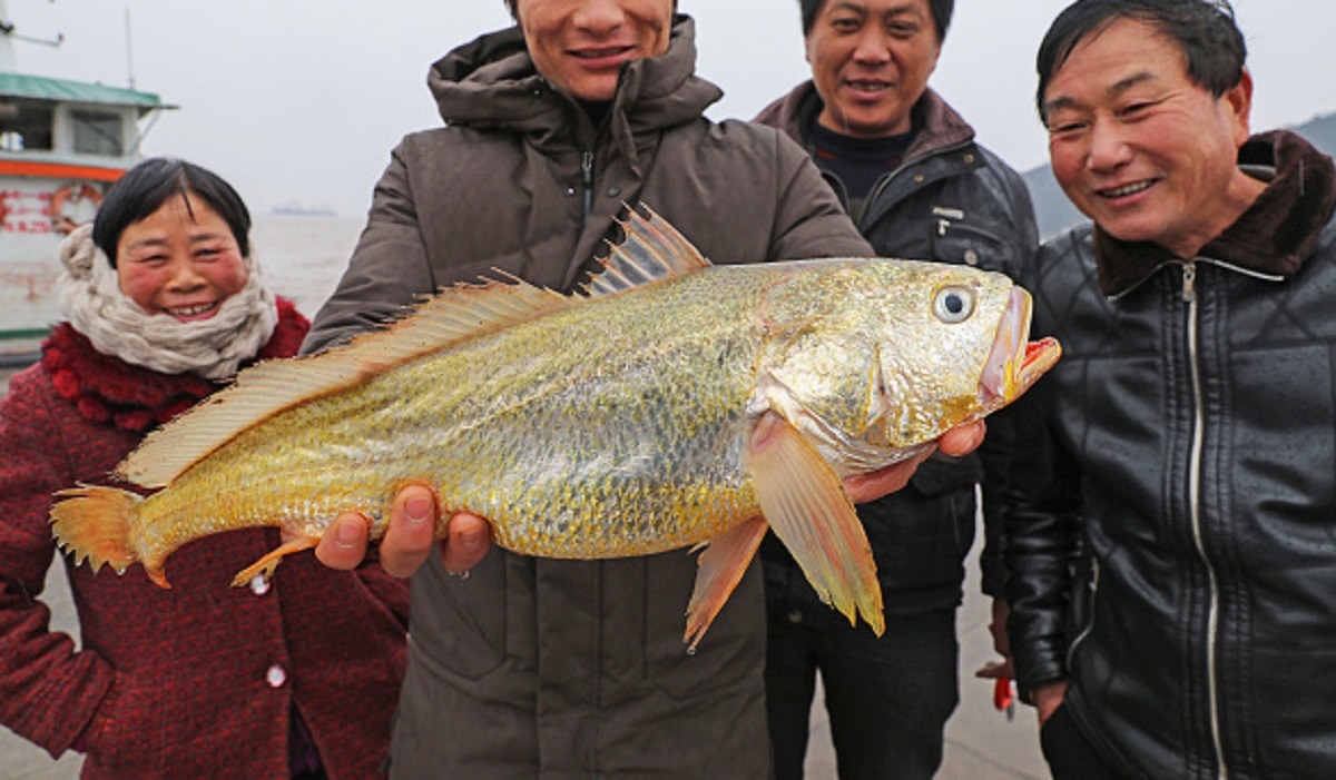 पानी में मिली दुर्लभ मछली