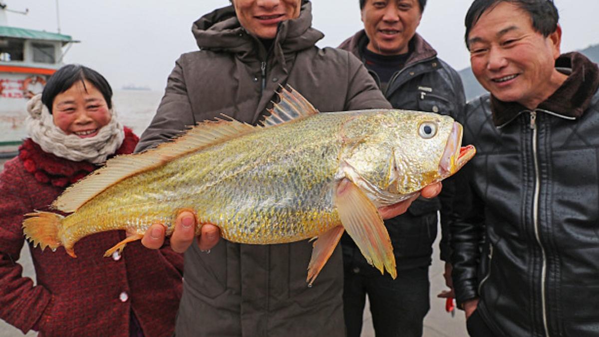 पानी में मिली दुर्लभ मछली