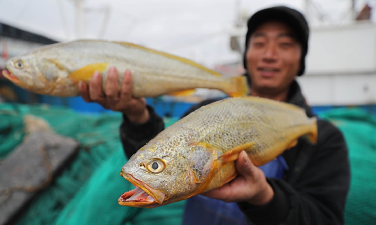 पानी में मिली दुर्लभ मछली