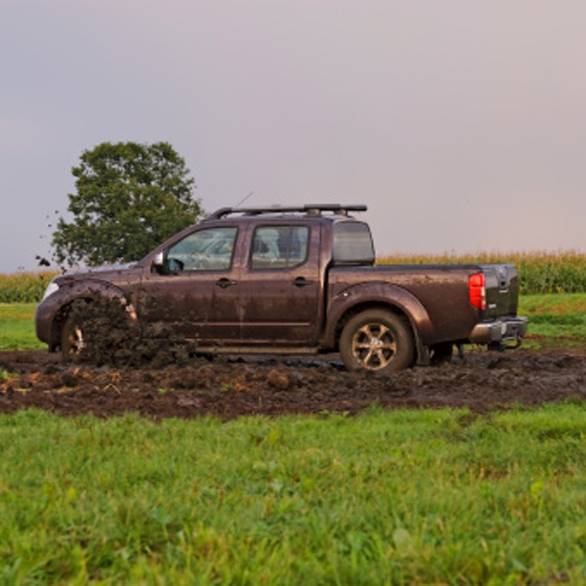 private part pic with car ad