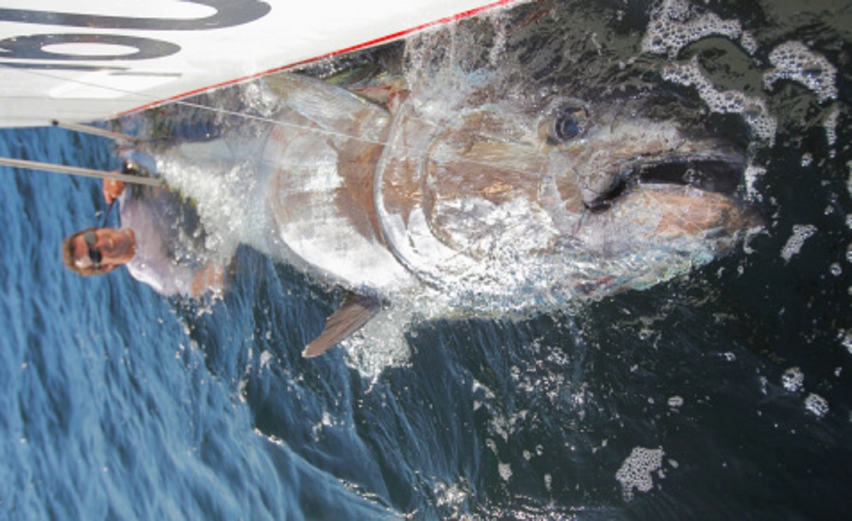 पानी में मिली दुर्लभ मछली