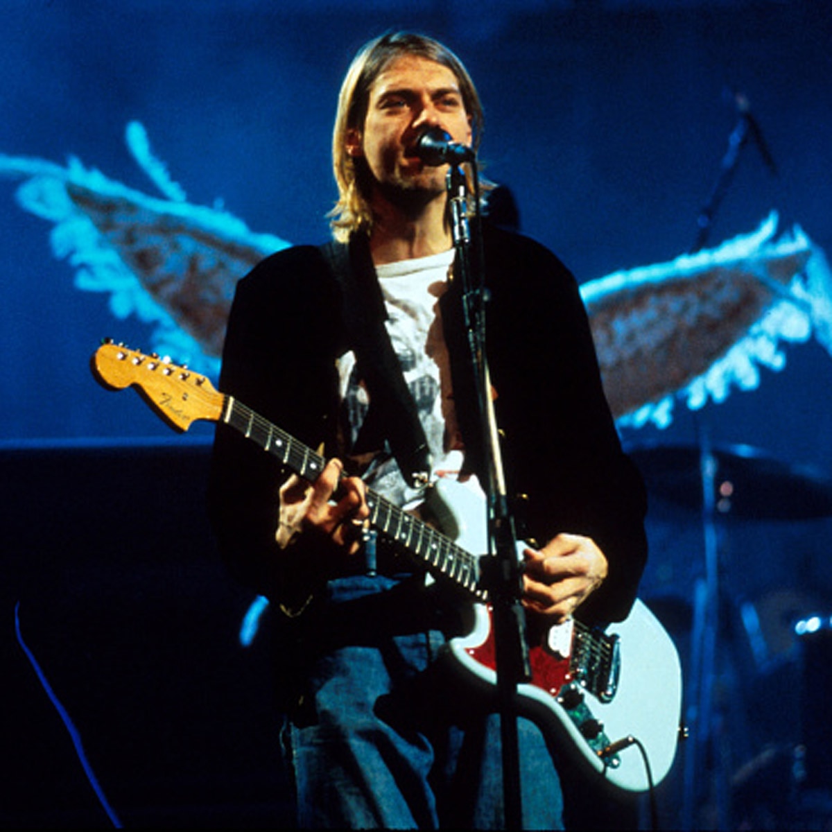 kurt cobain hair auction 