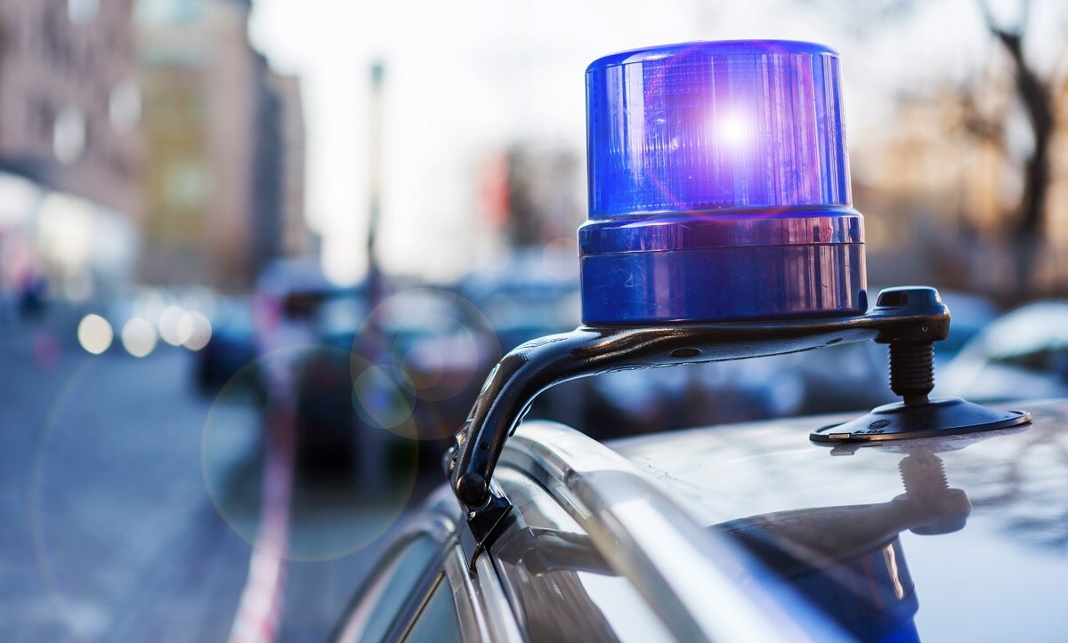 german police got sex toy