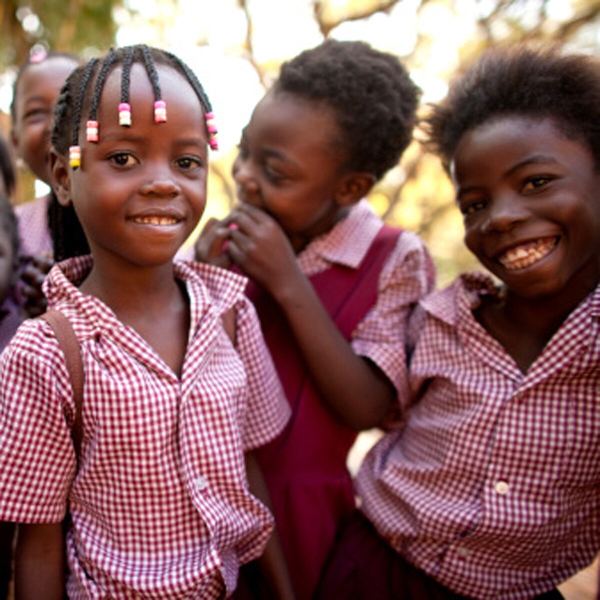 man wants thousand kids