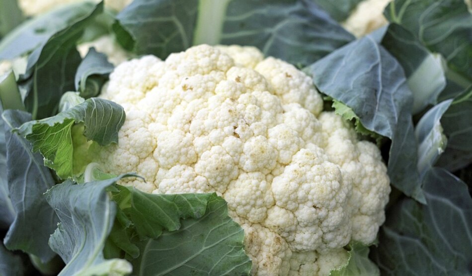 फूलगोभी