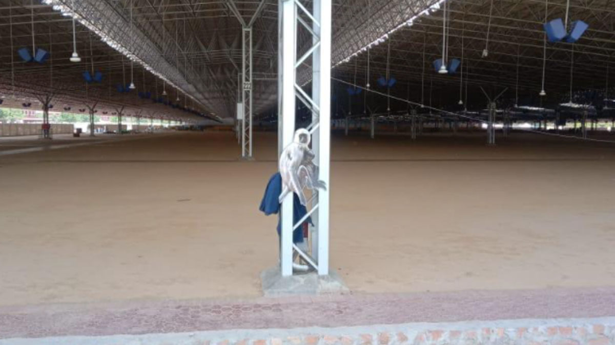 बंदरों को भगाने के लिए लगाया गया लंगूरों का कट आउट