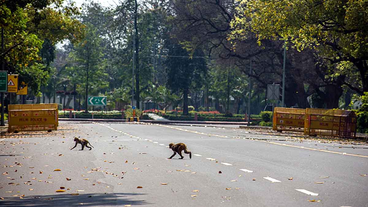 Govt Refused IMA request