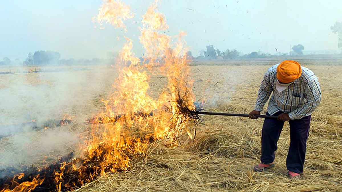 India Corona crisis Air Pollution