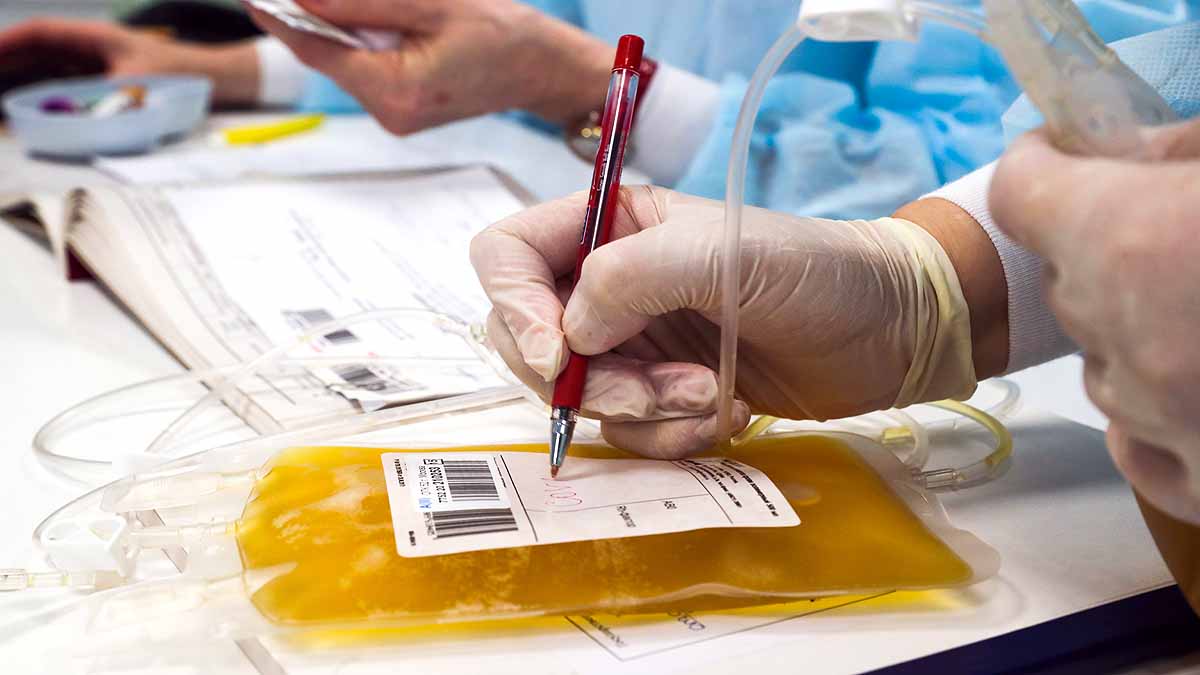 Irrational use of plasma