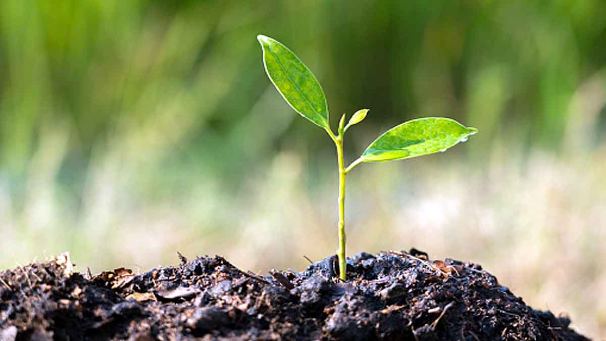 Space Station bacteria Mars