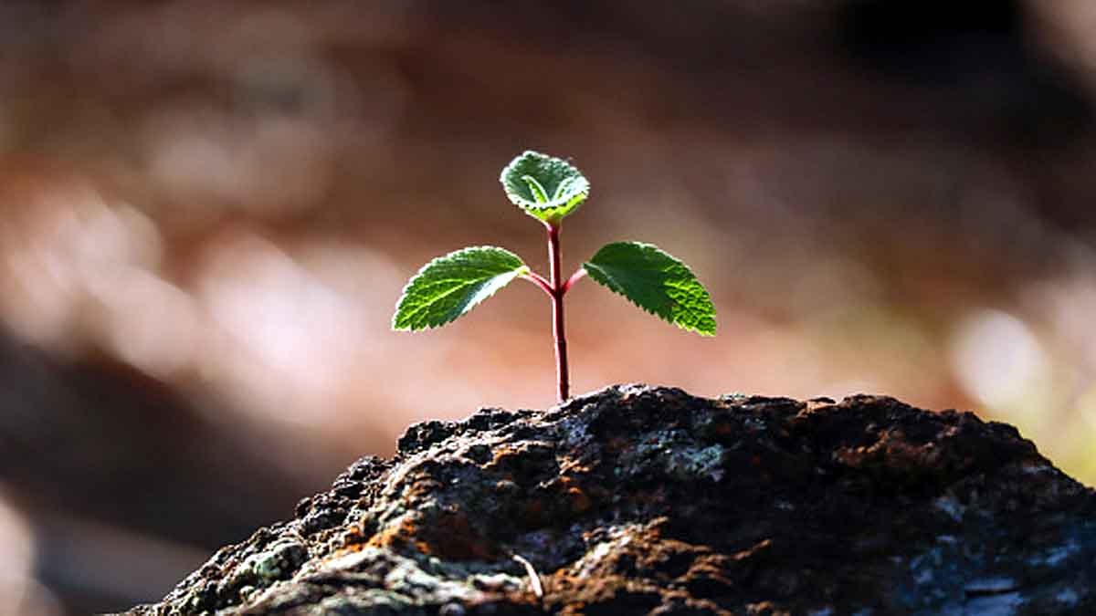 Space Station bacteria Mars