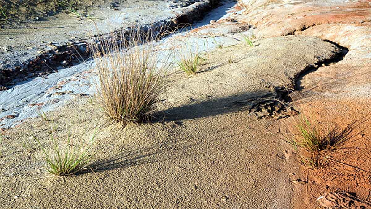 Space Station bacteria Mars