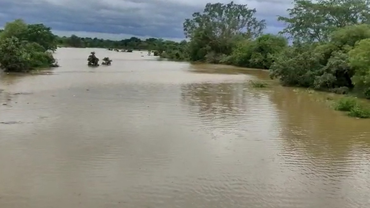 जान बचाने पाठशाला की छत पर चढ़े 70 बच्चे