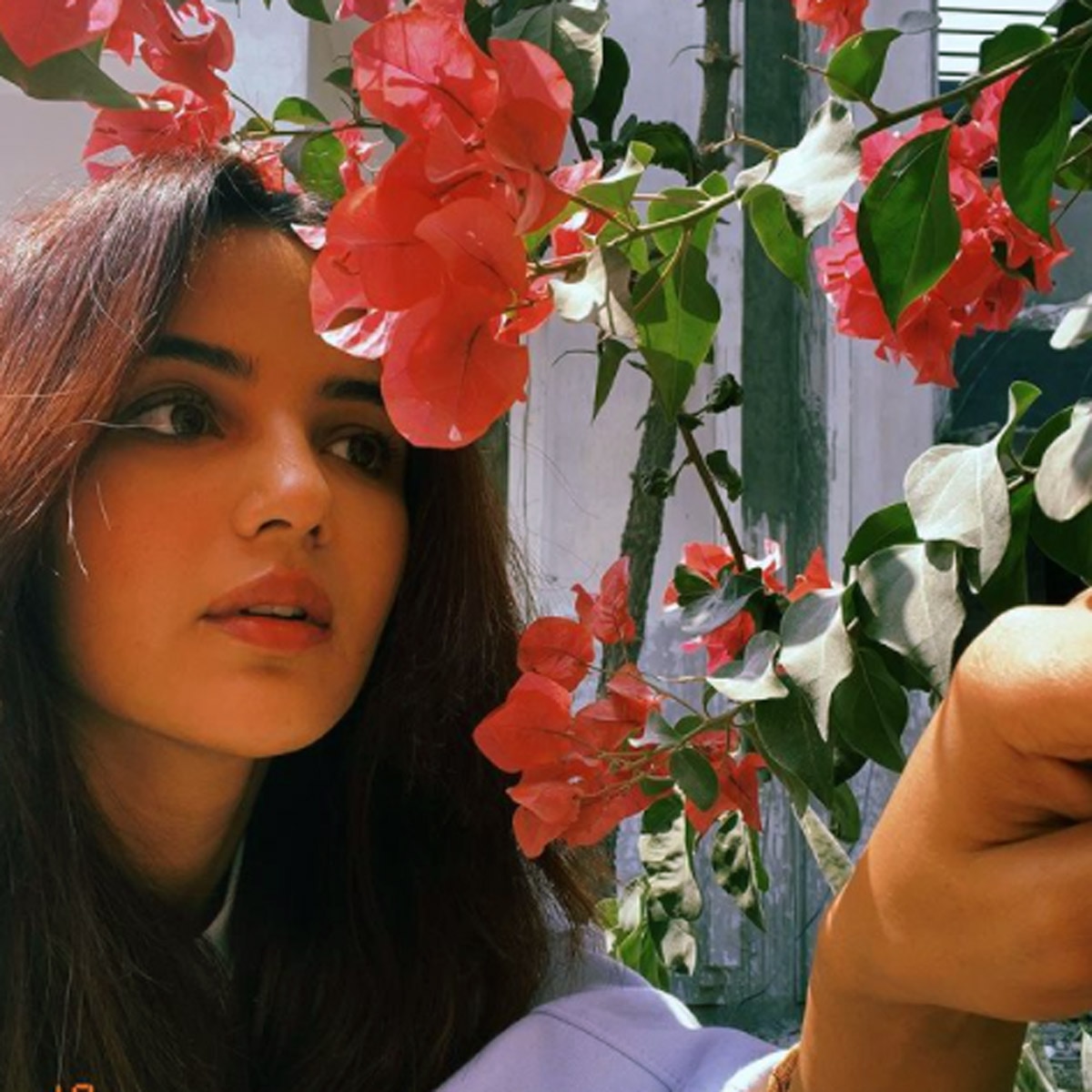 जैस्मिन भसीन