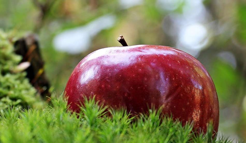 विटामिन ए