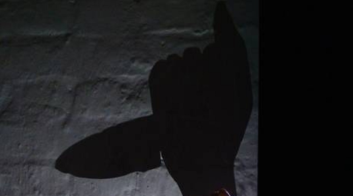 लड़के ने लड़की को 114 बार मारा चाकू