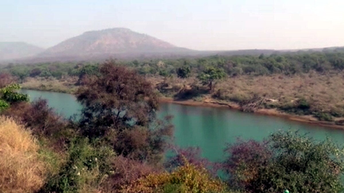  कूनो नेशनल पार्क में अफ्रीकी चीते