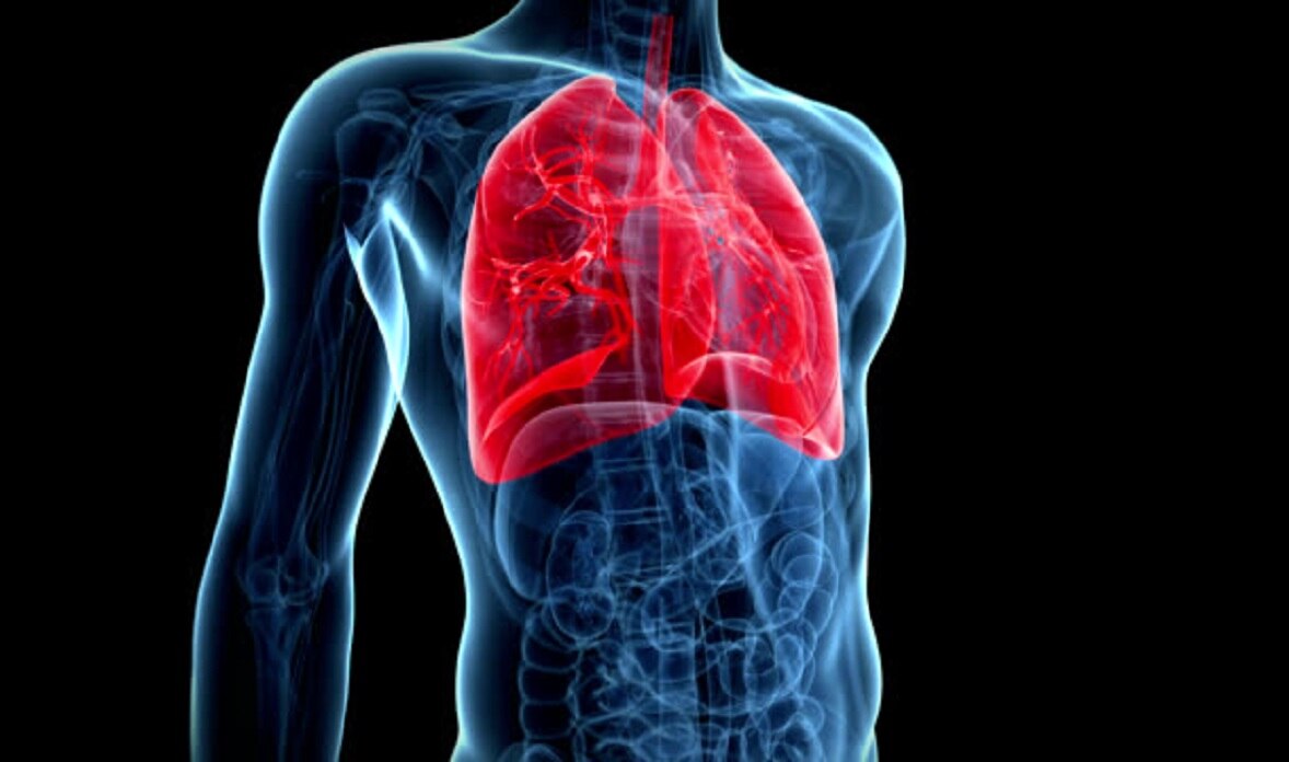 कोरोना वायरस 8