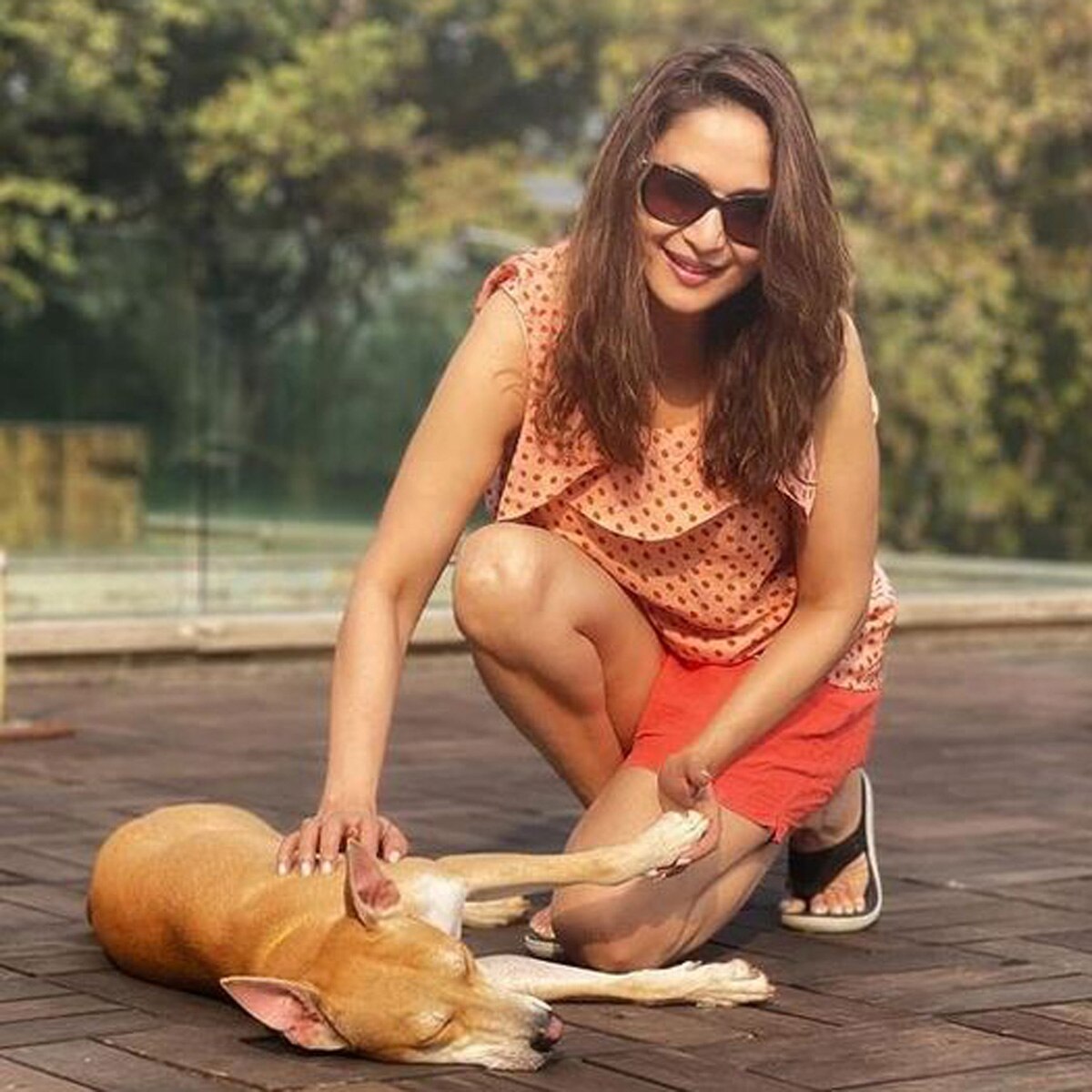 माधुरी दीक्षित