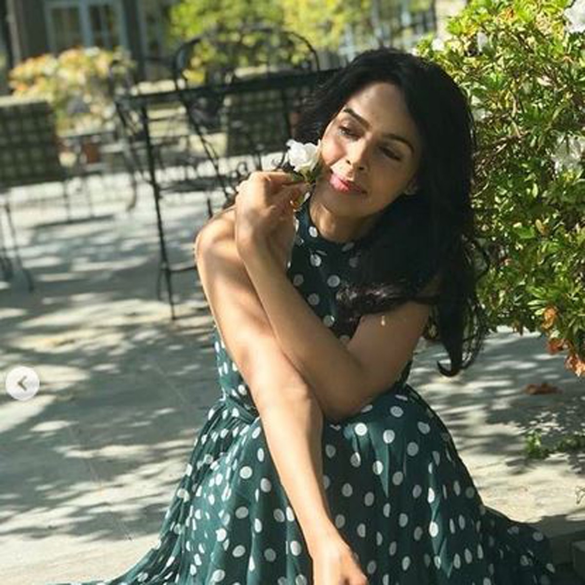 मल्लिका शेरावत