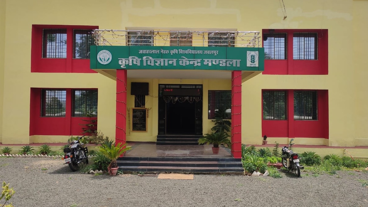 बीज बम से लौटेगी धरती की हरियाली