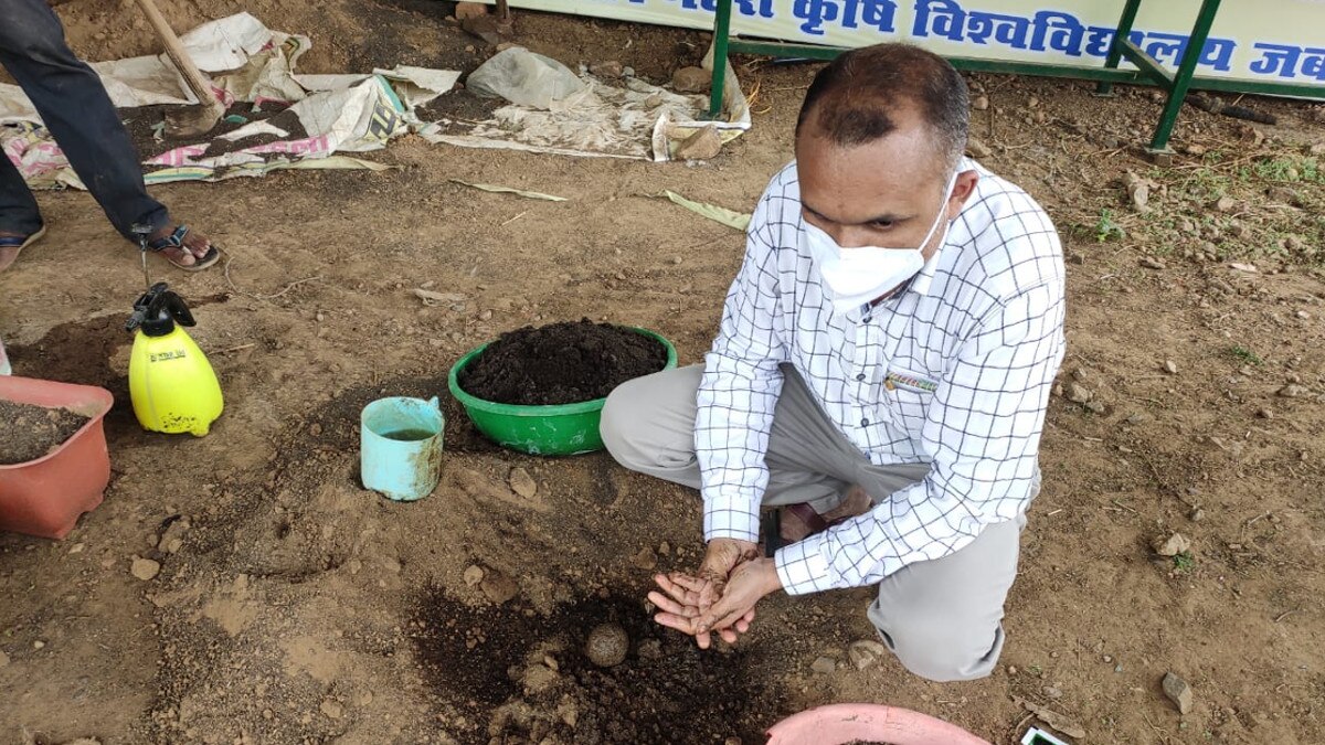 बीज बम से लौटेगी धरती की हरियाली