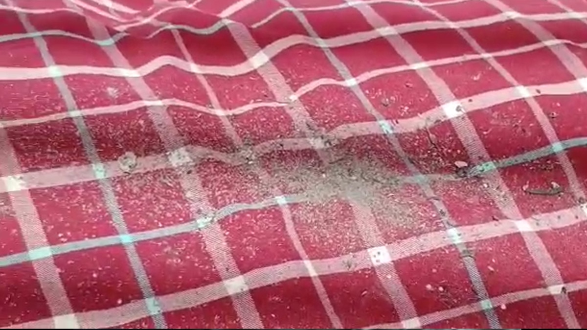  महिलाओं ने कहा चिता की राख से बीमार हो रहे बच्चे, स्थानीय लोगों ने वीडियो किया वायरल