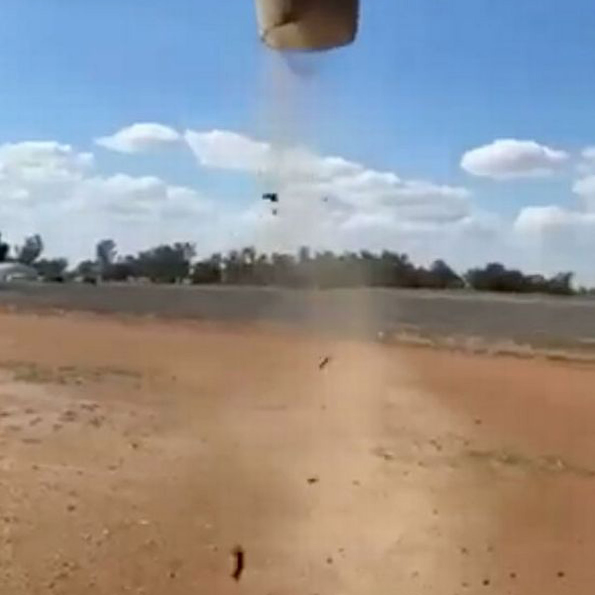 rodents flying from sky