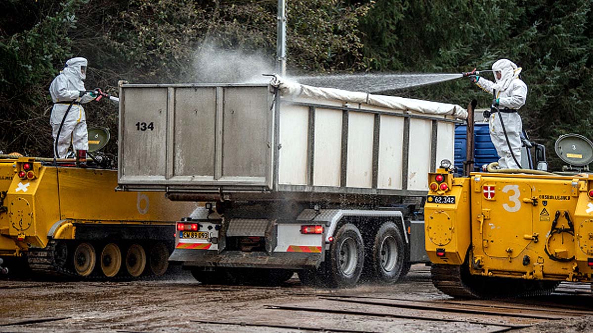 Mink rising from Mass Graves