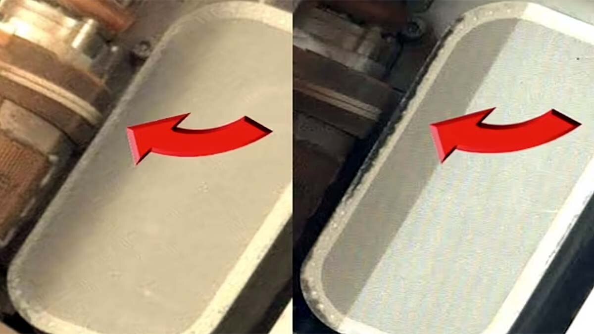 Mushrooms on Mars Alien Life