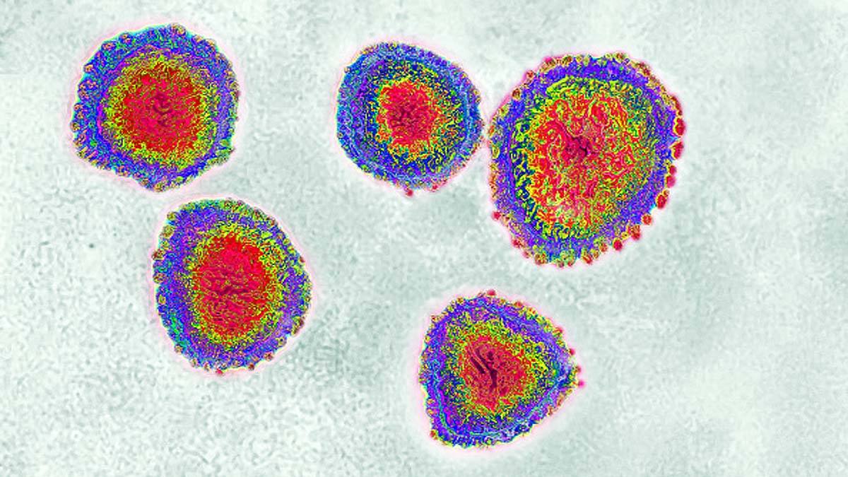 2 new Coronavirus infect People