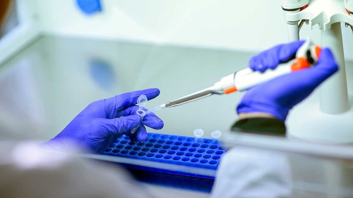 Novel Coronavirus is Seasonal