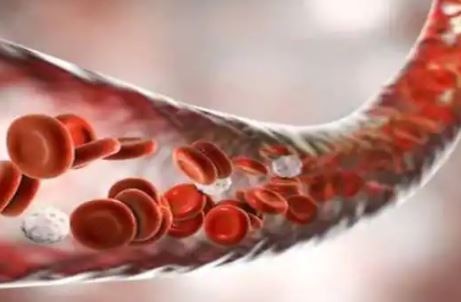 Oximeter fitness watch