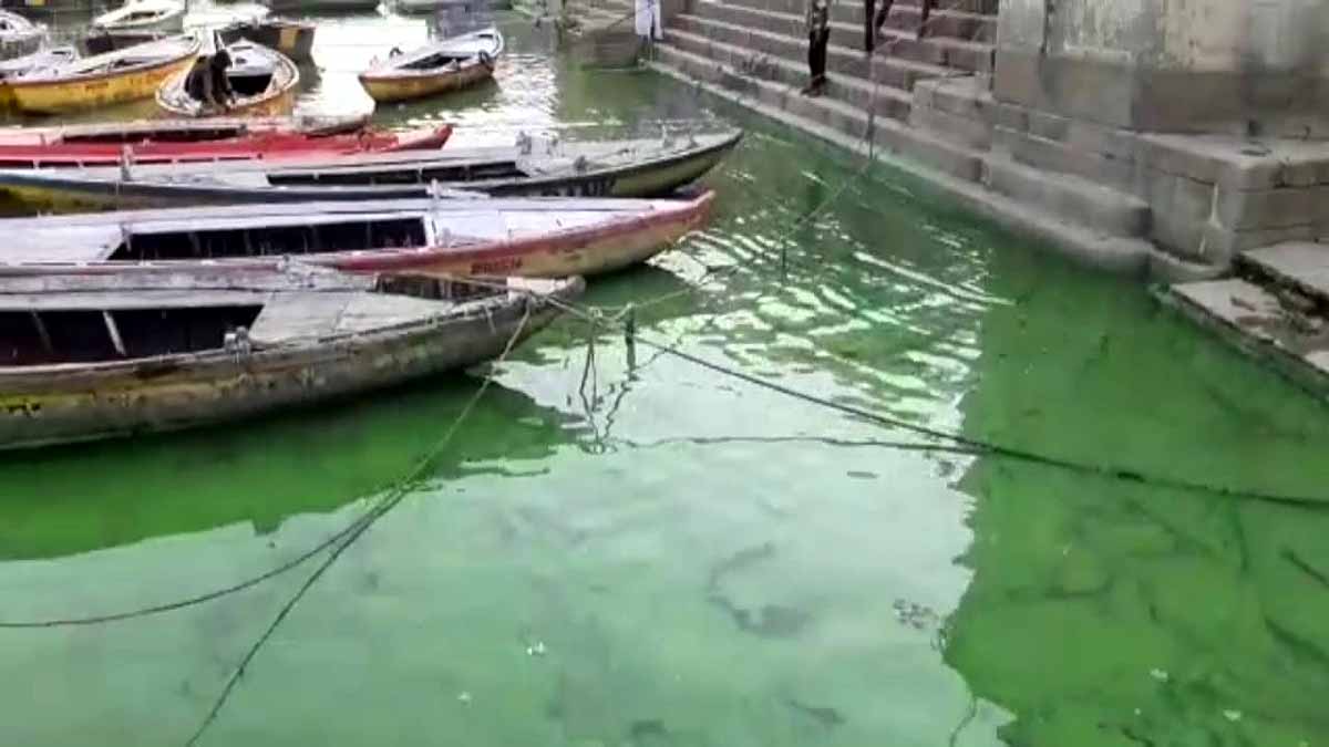 Ganga Turned Green Varanasi