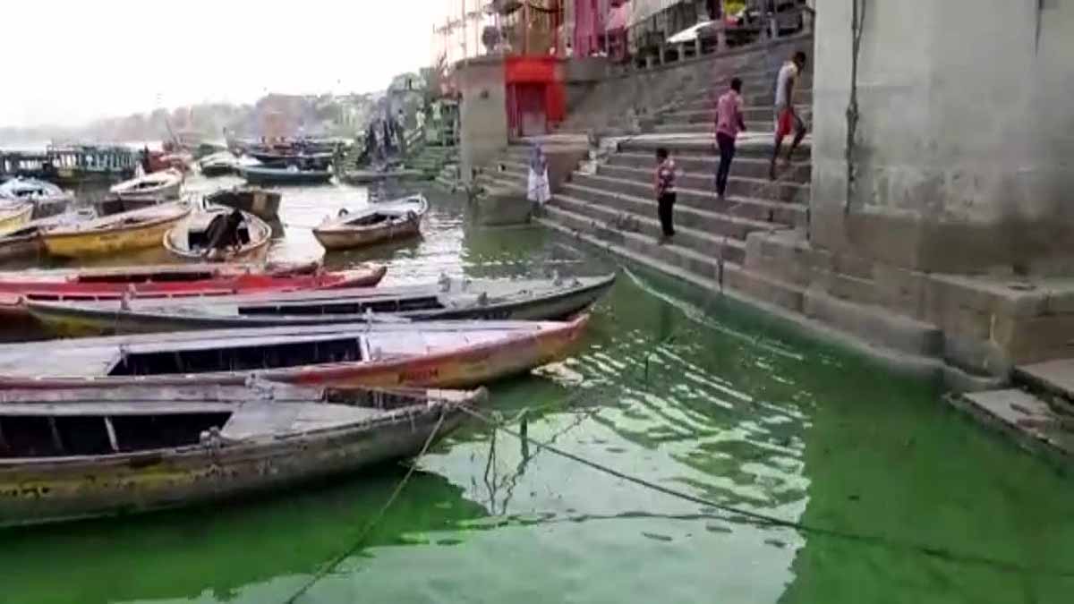 Ganga Turned Green Varanasi