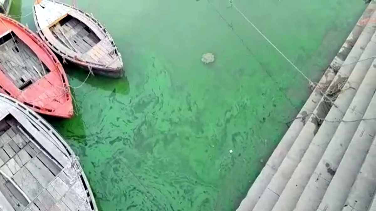 Ganga Turned Green Varanasi