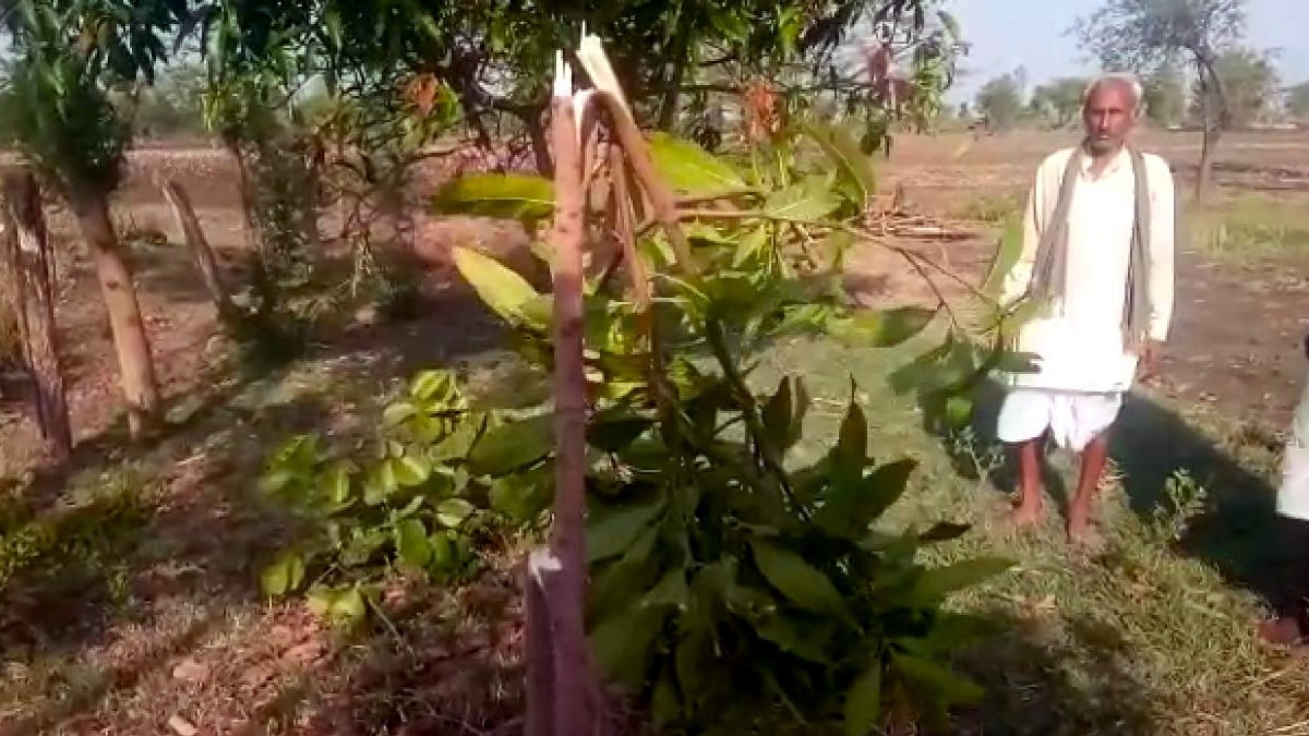 husband harassment wife