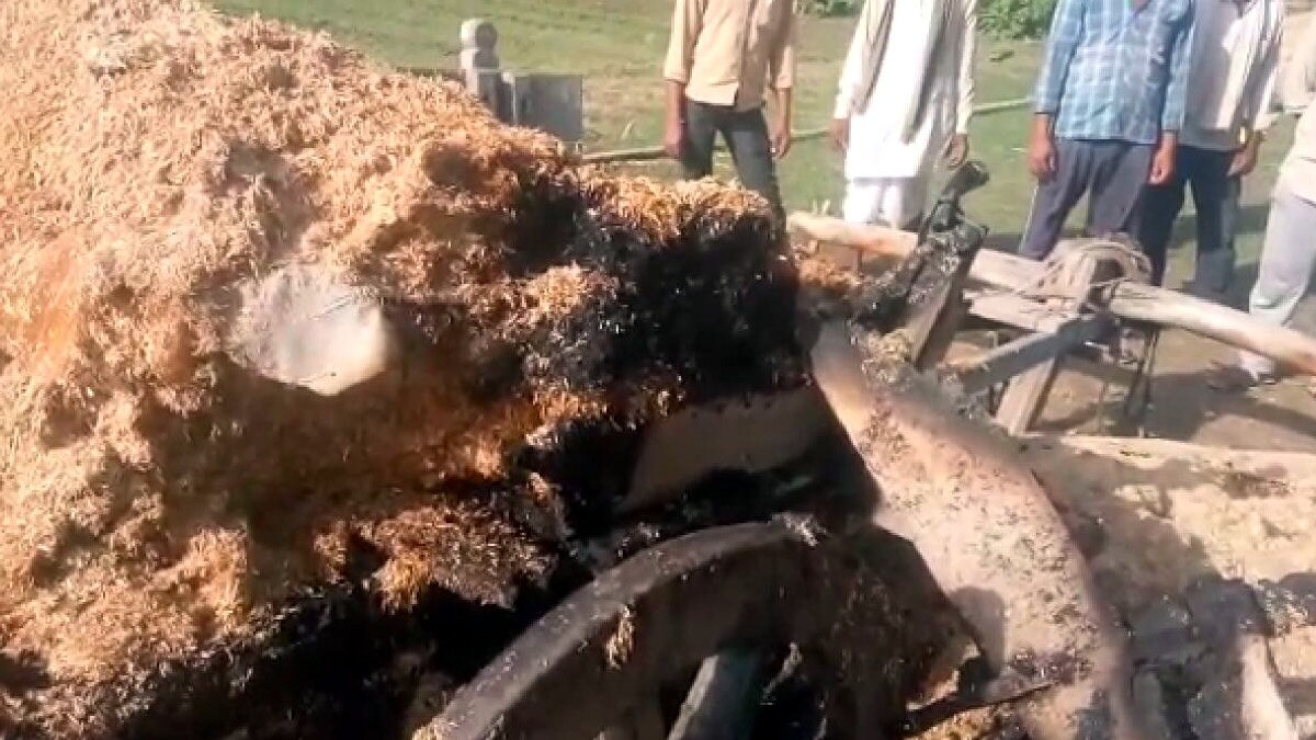 husband harassment wife