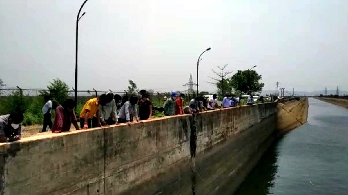 पार्टी मनाने गए डॉक्टर की नहर में डूबने से मौत, परीक्षा पूरी होने की खुशी का जश्न मातम में बदला