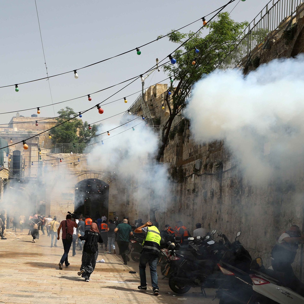 Mia supports palestine