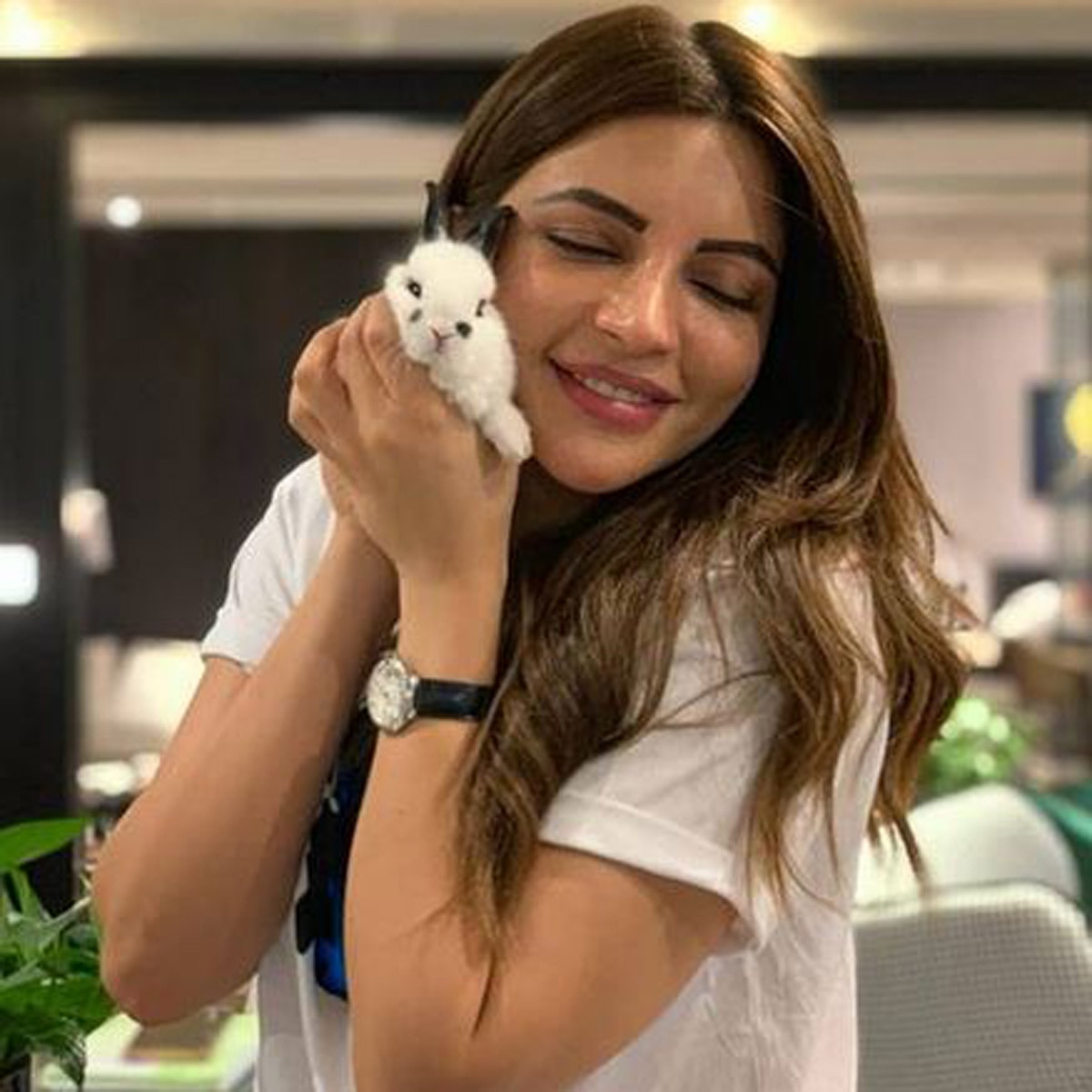 शमा सिकंदर