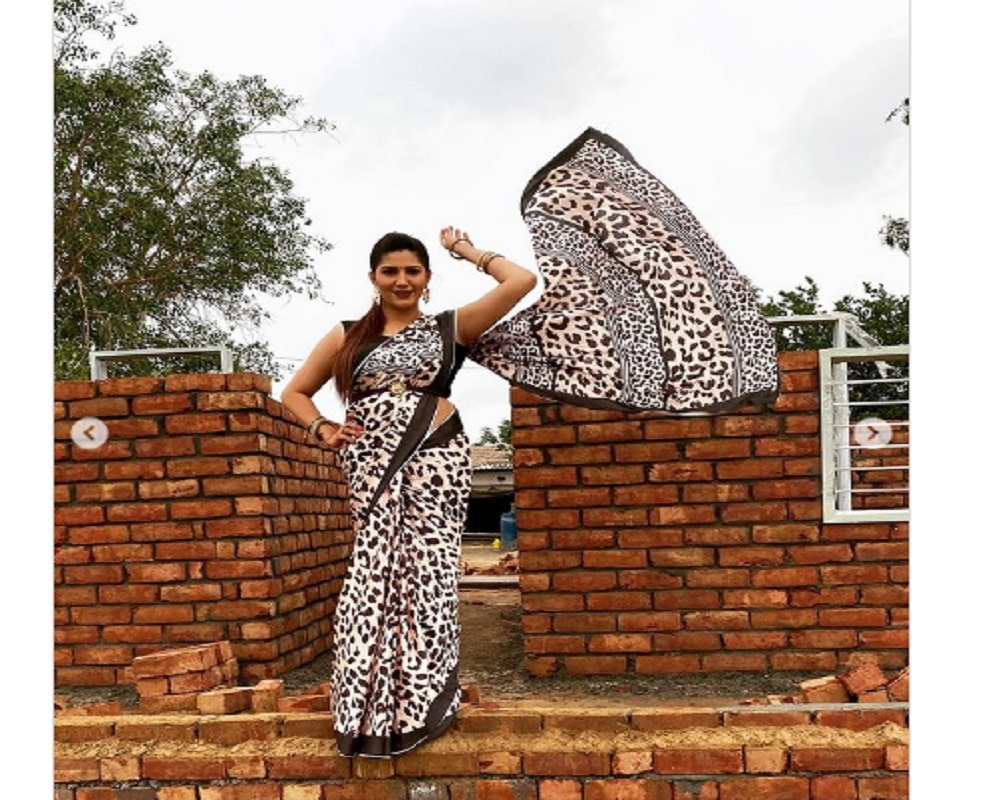 Sapna Chaudhary saree photos (Instagram@Sapnachoudhary)