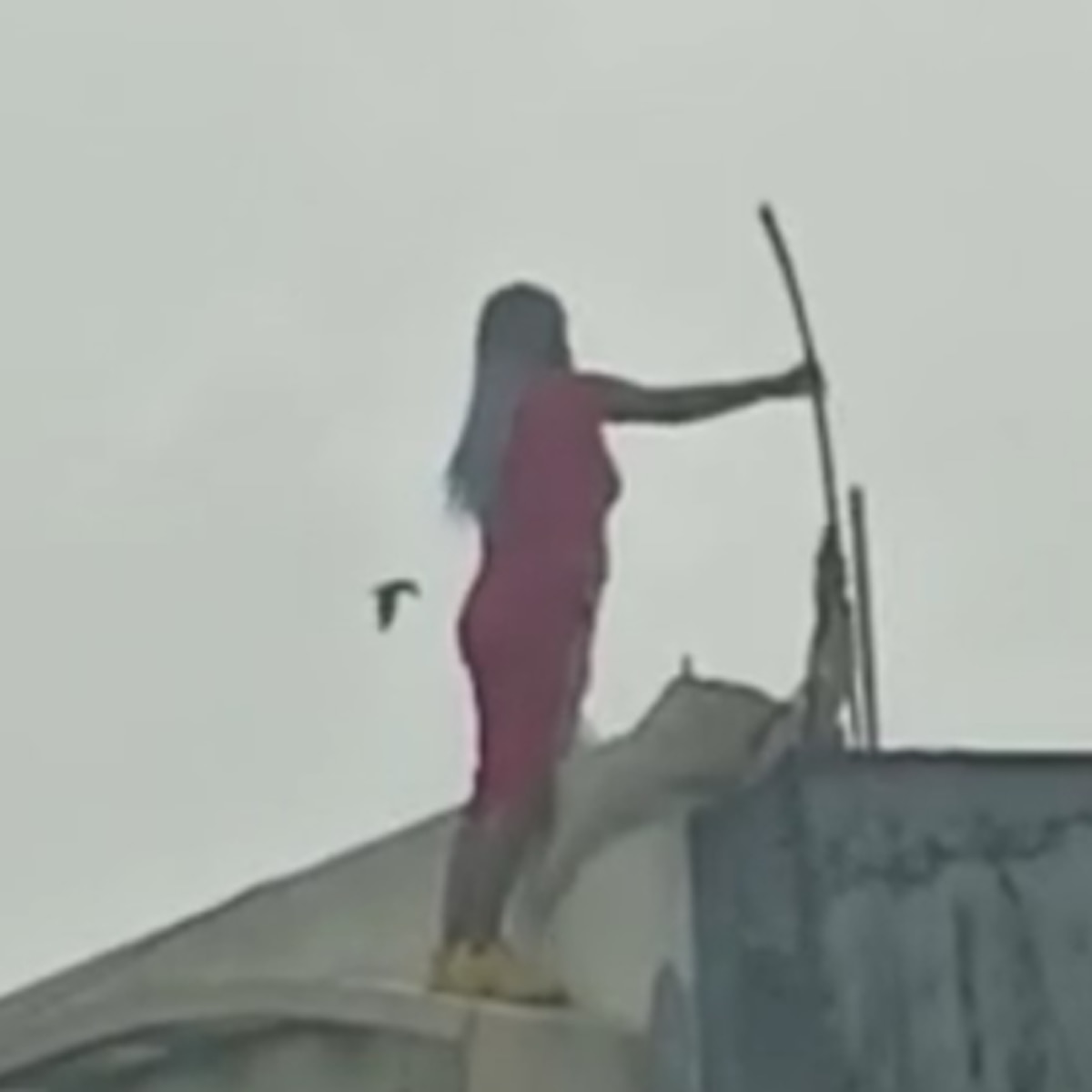 छत पर चढ़ी लड़की