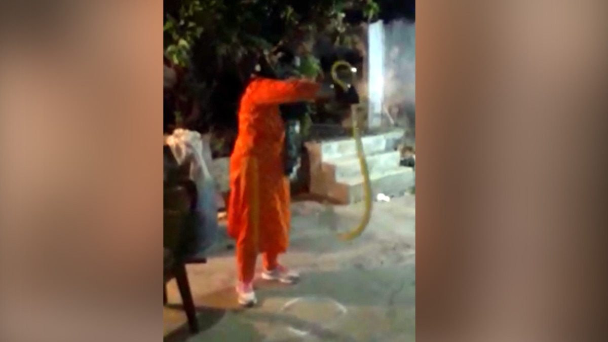 Poisonous snake houses snake saver