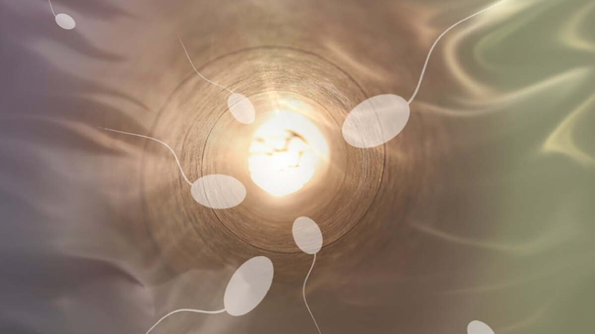 स्पर्म पर स्टडी