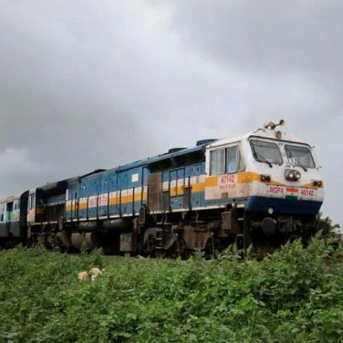 Supriya death mystery 