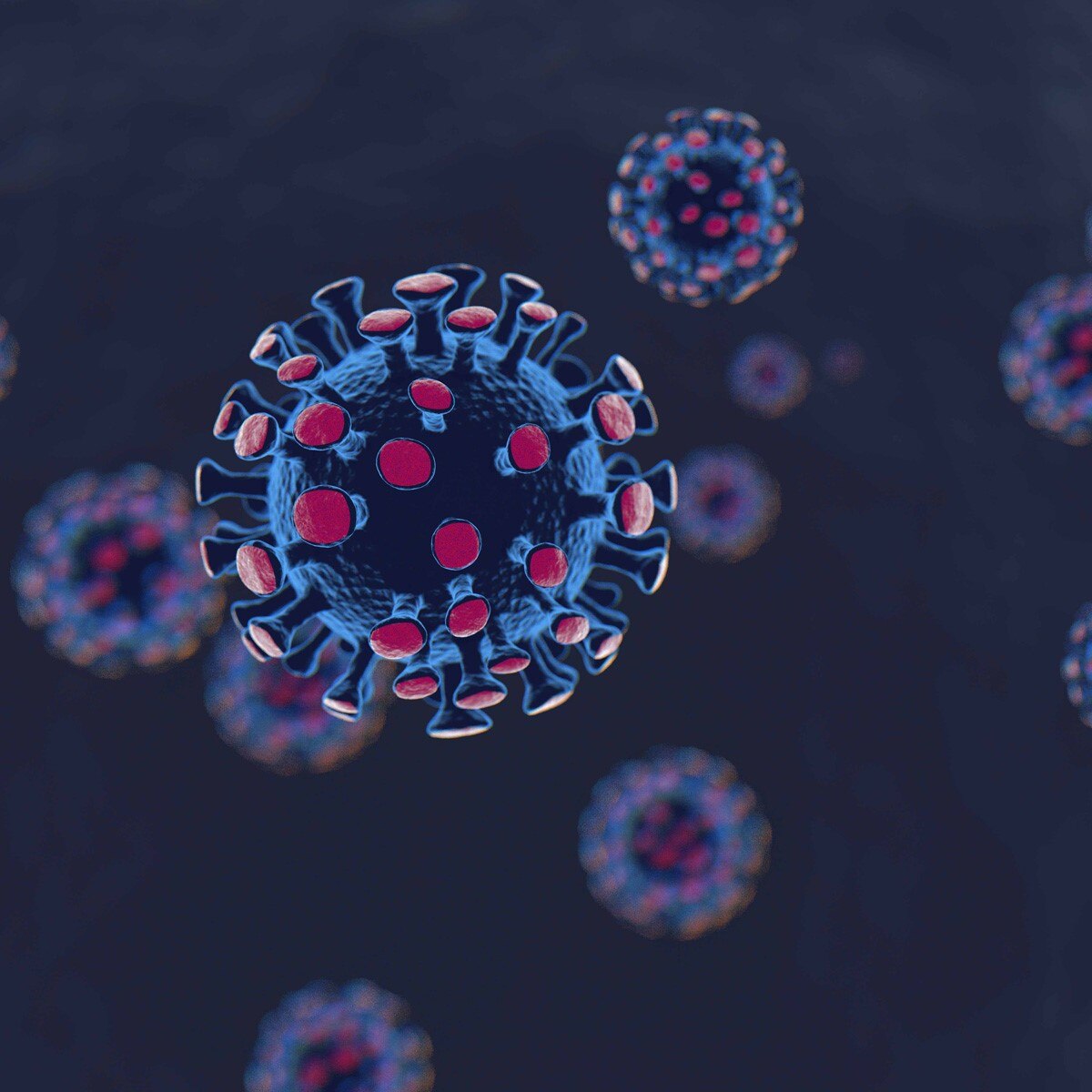 प्रतीकात्मक फोटो 