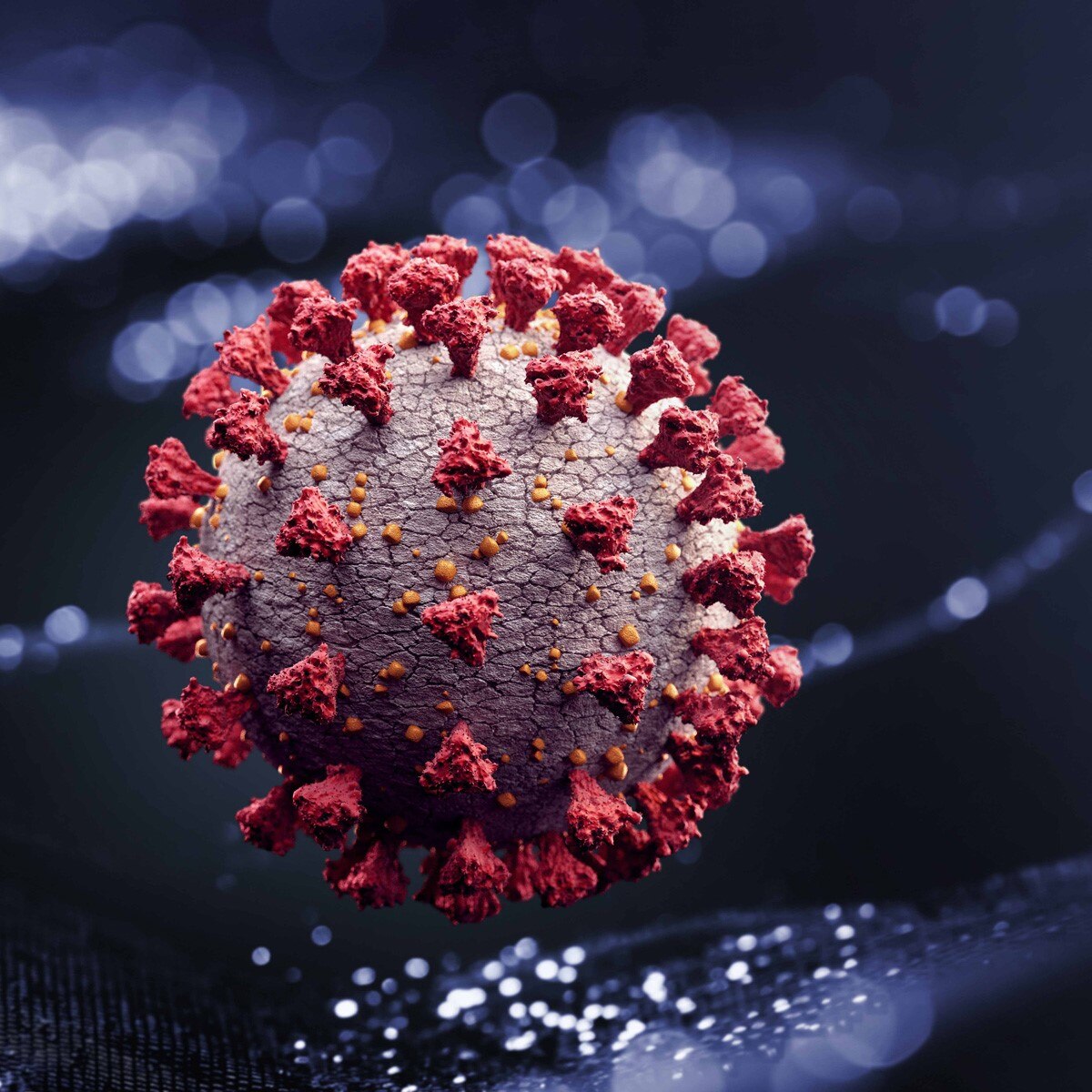 प्रतीकात्मक फोटो 