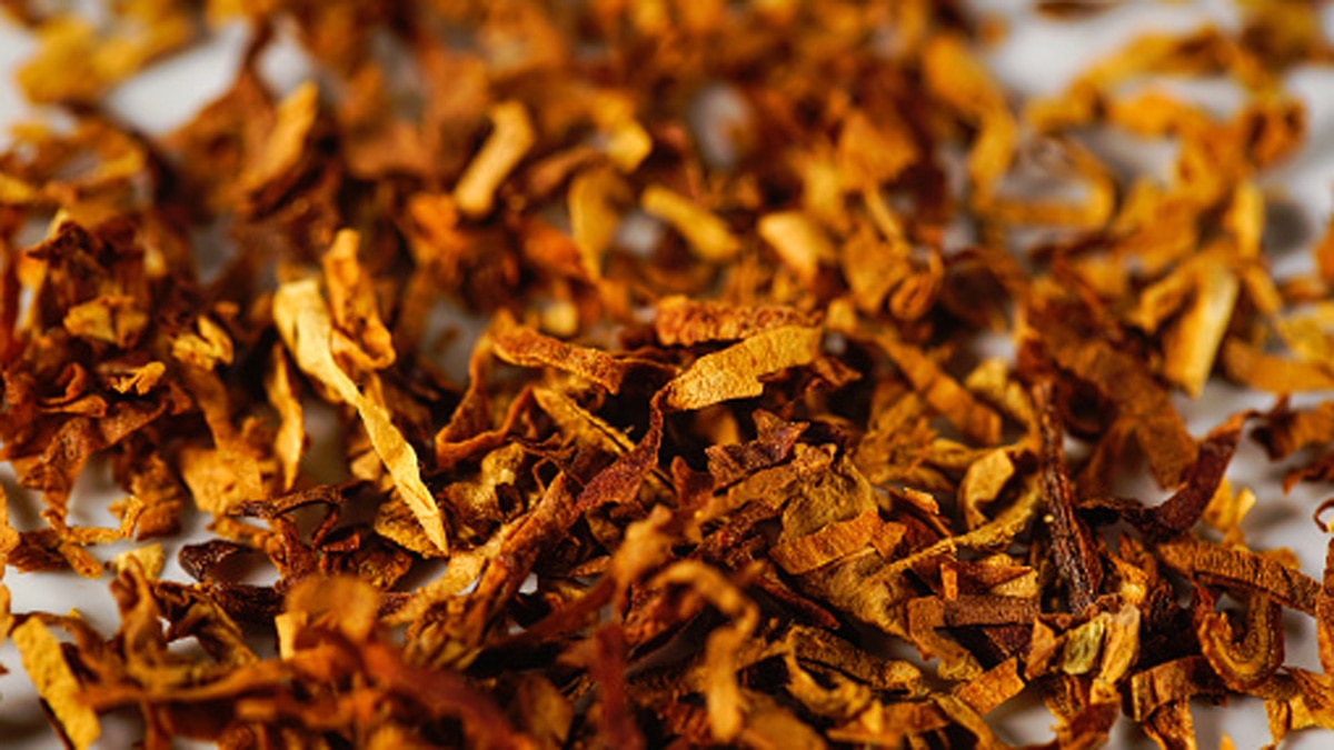 तंबाकू से सेहत को नुकसान