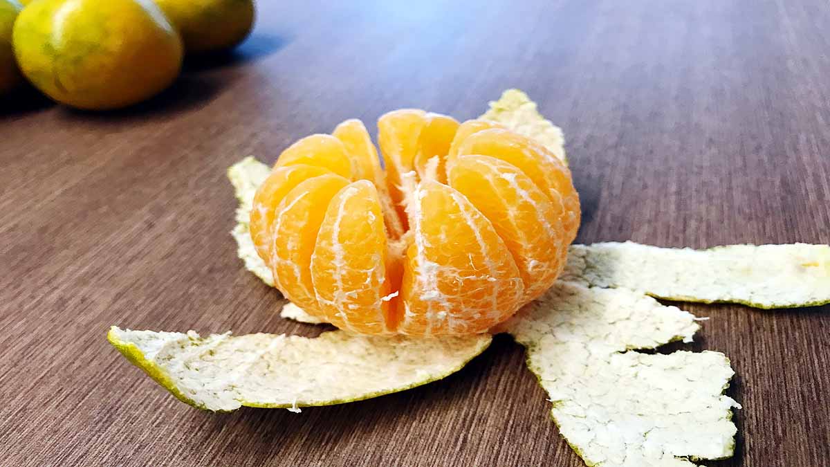 Transparent Wood Lemon-Oranges